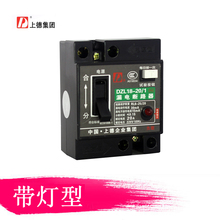 包邮 20A开关保护器DZ18L带灯老型 D牌chdele家用漏电断路器DZL18