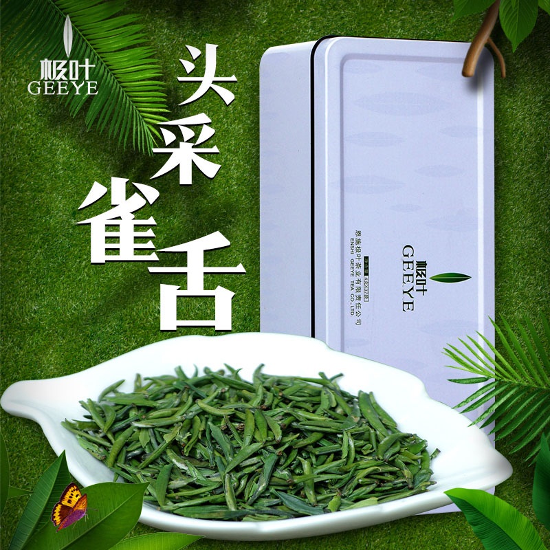 极叶高山野茶 雀舌茶叶2016新茶明前春茶恩施含硒茶特级绿茶芽头