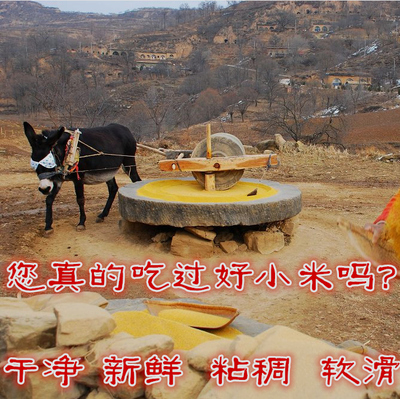沂蒙山黄小米2015新米有机小黄米农家自产月