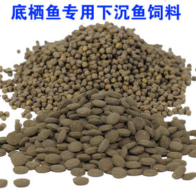 正品[观赏鱼虎头鲨]观赏鱼虎头鲨怎么养评测 观