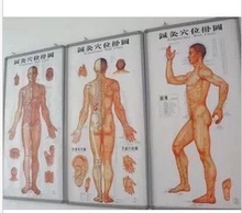 包邮 针灸人体经络穴位大挂图全套中医针灸标准挂图人为正版3张