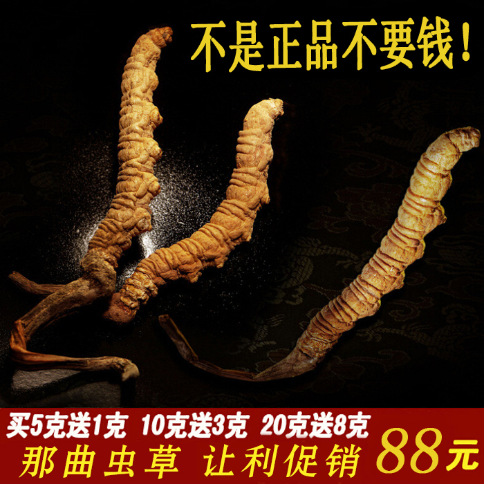 正品特级冬虫夏草同仁堂西藏那曲精选虫草礼盒批发比断草2-3条/克