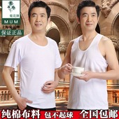 宽松吸汗背心圆领短袖 中老年纯棉汗衫 爸爸装 夏季男士 菊花牌老头衫