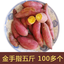 125个金手指地瓜 果能9月现挖新鲜番薯临安天目山小香薯5斤100