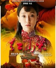 3DVD周迅 朱亚文 秦海璐 黄轩 电视剧 完整版 红高粱 红高梁