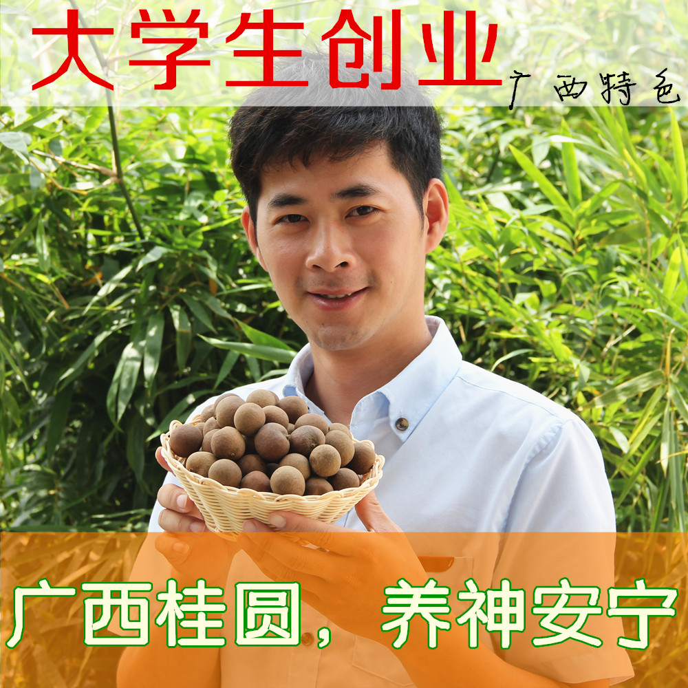 产地果农直销桂圆干特级龙眼干 正广西博白桂圆肉250g超莆田高州