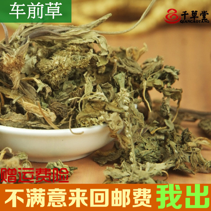 千草堂中药材批发 道地药材 车前草 牛舌菜车轮菜 另有车前子500g