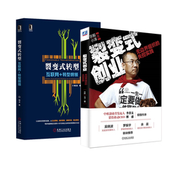 正版包邮 裂变式创业 无边界组织的失控实践 宗