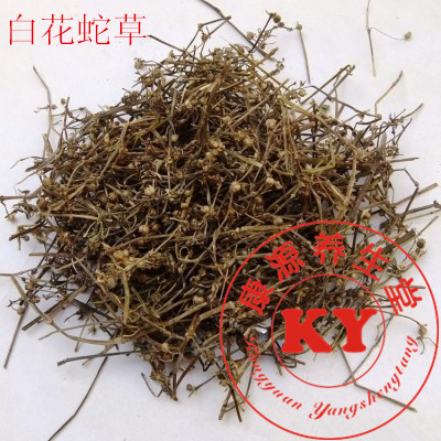 中药材白花蛇草 白花蛇舌草 纯野生白花蛇舌草 咽喉肿痛500克18元