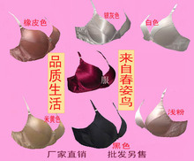 薄款 真丝文胸春姿鸟双面100%桑蚕丝薄杯AB杯有圈无圈厂家直销特价
