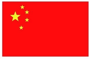 中国国旗 红旗国旗 厚款 五星红旗 党旗墙贴纸