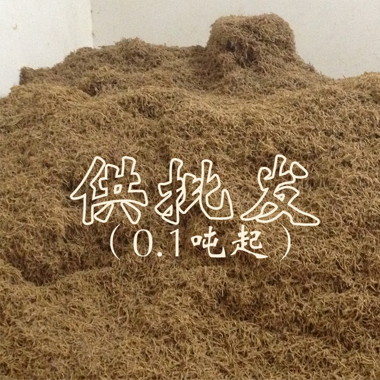 柘荣太子参批发，散装5g 原产地直销 价格优惠、质量保证、纯天