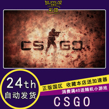反恐精英全球攻势 steam游戏 csgo pc中文steam