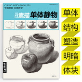 杨建飞主编 素描单体静物书铅笔结构素描技法绘画最强美术风暴完美联考校考临摹范本美术画画入门基础教学教程教材 全集 经典