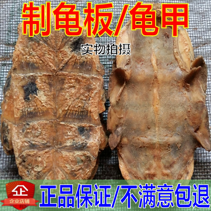 中药材正宗制龟板 炙龟板 制龟甲 龟下甲 500克 品质保证
