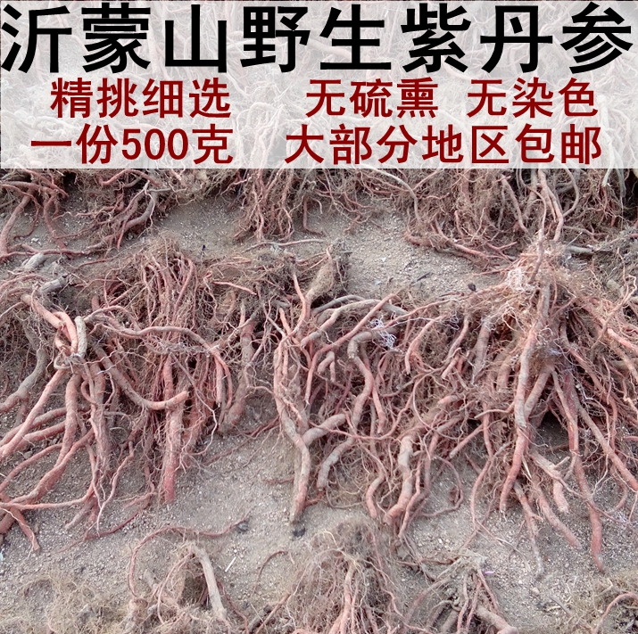 正宗沂蒙山原生态中药材野生紫花丹参16新货无硫熏，2斤包邮