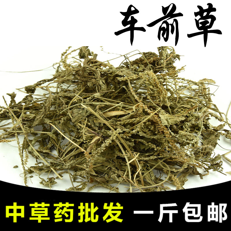【药膳房】车前草500g 车前草干车前草 车轮菜 中草药材可打粉
