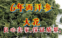 包邮 500克 长白山六年根西洋参花茶花蕾种子泡水泡茶68元