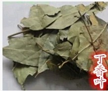 中药材 丁香叶  500克 包邮 同仁堂品质