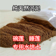 碗莲睡莲现挖淤泥 荷塘泥 碗莲 淤泥 睡莲泥土 水生花卉专用土