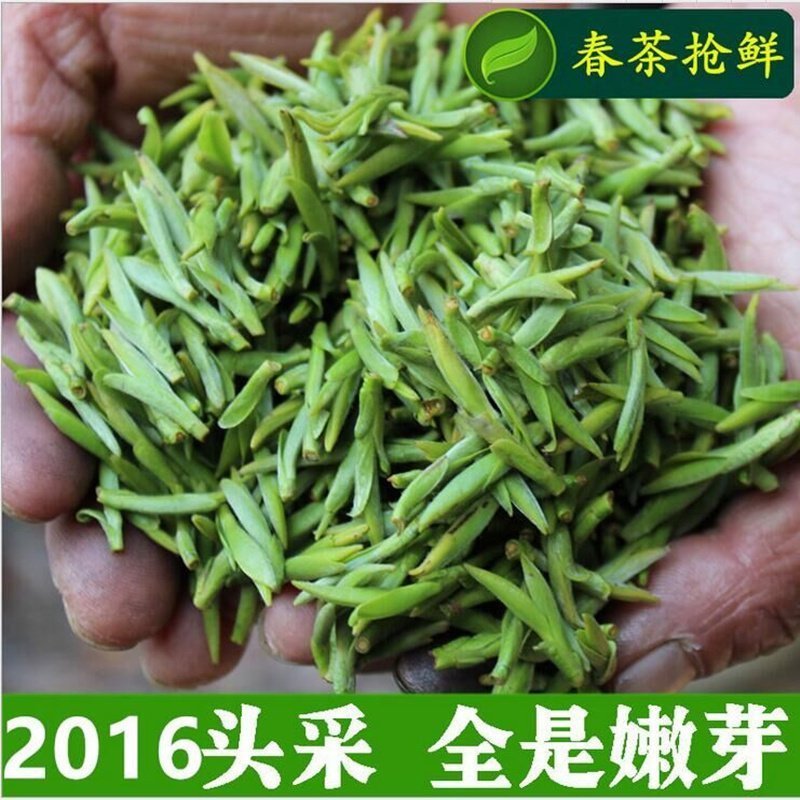 正宗信阳毛尖2016新茶叶绿茶明前特级嫩芽春茶250g散装自产自销