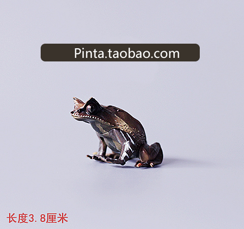 【绝品】日本正版 原色两生类动物图鉴 青蛙模型 枯叶蛙[隐藏版]