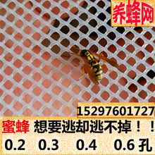0.3 0.6蜜蜂马蜂蛇蚕塑料胶网 加厚塑料平网养殖网小孔养蜂网0.2