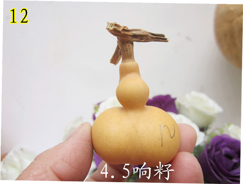 天然异形精品手捻金蝉葫芦勒扎葫芦现货12号