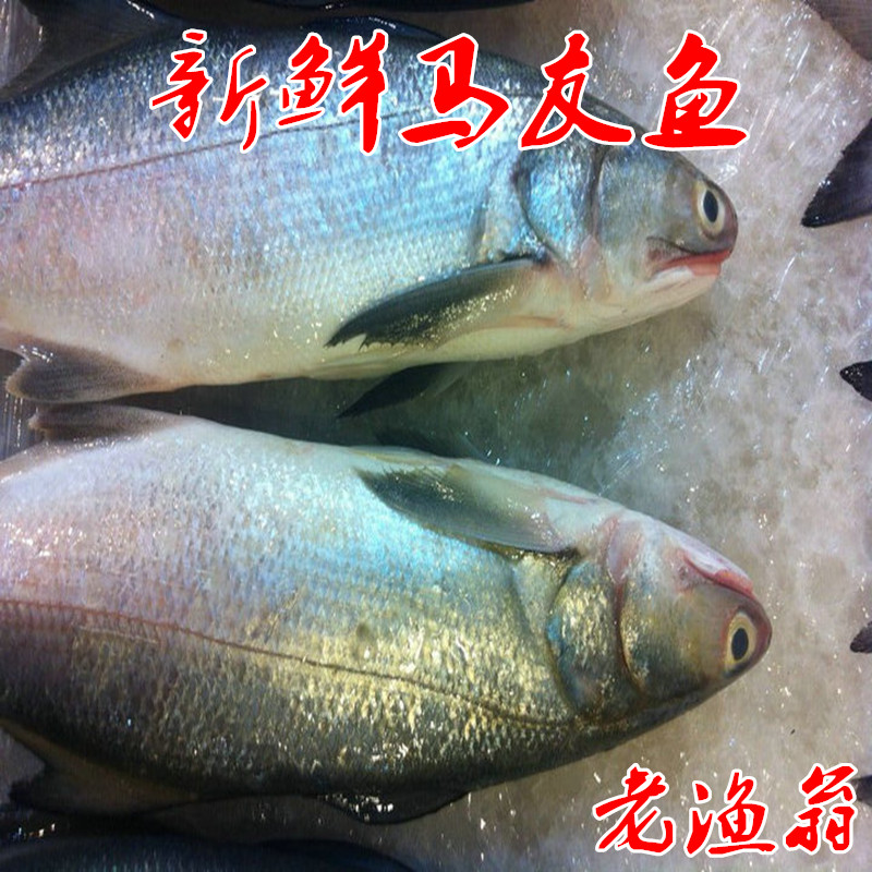 野生新鲜海鱼马友鱼午笋鱼午仔鱼马鲅 一份1斤 海鲜4斤可混搭包邮