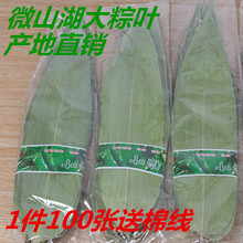 农家大粽叶新鲜野生晒干100张 粽子叶 免邮 端午干粽叶 粽叶子