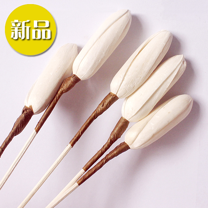 新品热卖派菲无火香熏配件藤条熏香干花样板房摆设牙柳通草花