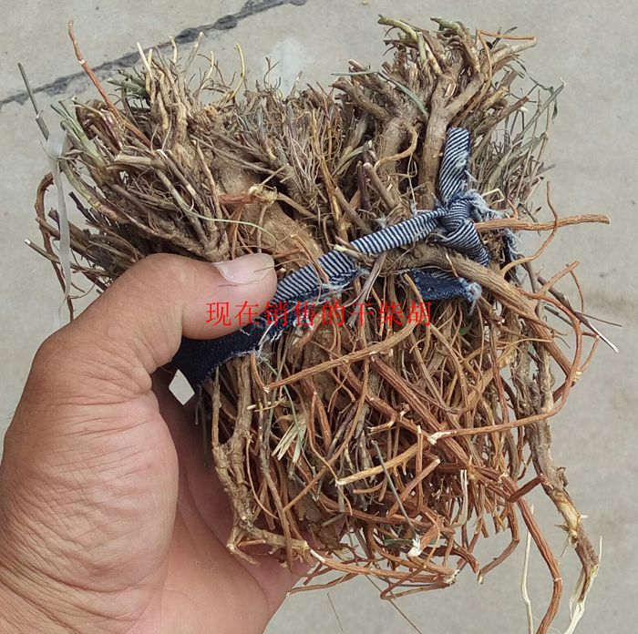 优质中药材 赤芍 山芍药 草芍药 500克中草药包邮