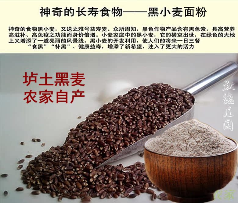 正品[铁棍]大铁棍子相声网评测 大铁棍子图片