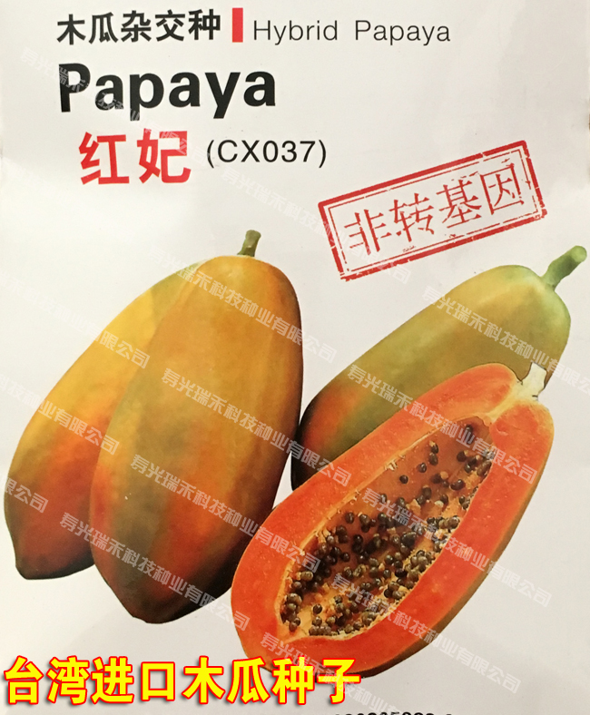 进口水果种子 台湾农友红妃进口杂交木瓜种子 高产抗病口感好