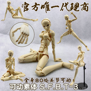 日本现货全身关节可动素体s.f.b.t-3手办人偶动漫绘画模型女日版