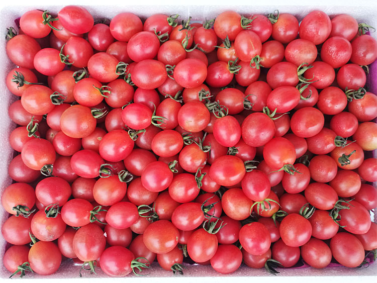 ǧ500g С ӣС ˮ 人