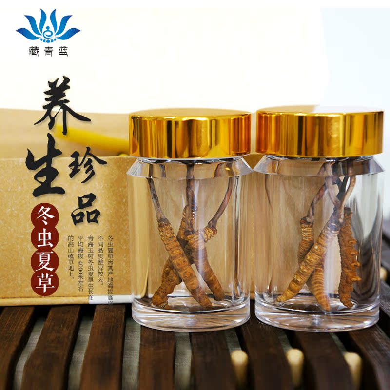 藏青蓝青海玉树新鲜野生冬虫夏草3条1克 正品无断草精选礼盒2克装