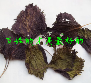 中草药材专卖/紫苏叶/干苏子叶/苏子叶/解表散寒/去腥味香料250克