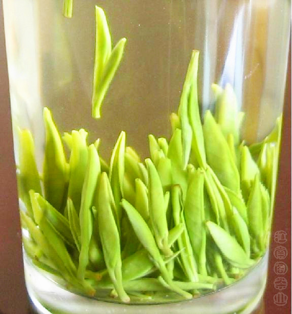 江南阁 2016年新茶安徽春茶绿茶 茶叶 黄山毛峰贡芽黄山毛尖250克