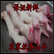 包邮 江浙沪皖 新鲜羊蹄羊脚带皮带筋羊爪手工去毛羊脚卤煮烧烤6斤