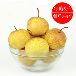  ˮ氲 ԭط5װ