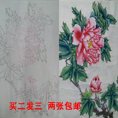 竹子白描底稿工笔画线描底图国画黑白画稿作业画花鸟底稿电子版