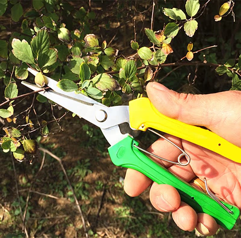 品[果树剪刀]日本果树剪刀评测 果树剪刀品牌图