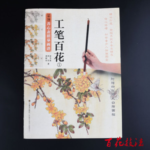 【基础教程工笔画】最新淘宝网基础教程工笔画