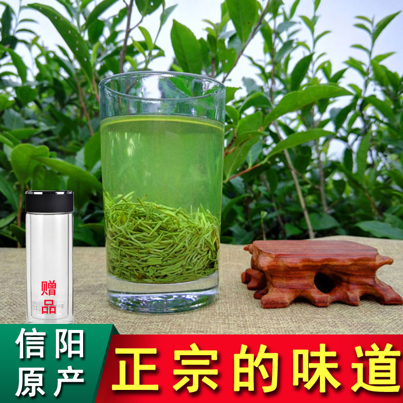 信阳毛尖2016新茶特级嫩芽高山茶叶绿茶农家自产自销浓香型250g