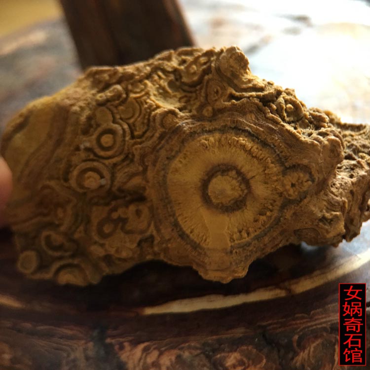 蒙天珠九眼石页岩原石天然形象图案奇石四子王旗观赏收藏精品