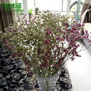 云南干花满天星天然水晶草干花花束真花家居装饰客厅百搭风干鲜花