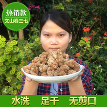可代磨三七粉 云南文山三七30头20头40头野生春三七头田七500g正品