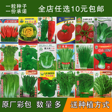 蔬菜种子套餐四季播阳台种菜庭院夏季水果盆栽菠菜小葱香菜韭菜籽