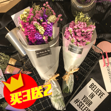 云南真花鲜花勿忘我天然干花永生花束情人草水晶草满天星拍照道具